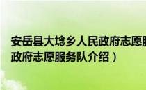 安岳县大埝乡人民政府志愿服务队（关于安岳县大埝乡人民政府志愿服务队介绍）