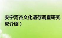 安宁河谷文化遗存调查研究（关于安宁河谷文化遗存调查研究介绍）