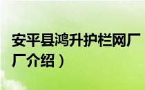 安平县鸿升护栏网厂（关于安平县鸿升护栏网厂介绍）