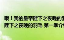 哦！我的皇帝陛下之夜晚的羽毛 第一季（关于哦！我的皇帝陛下之夜晚的羽毛 第一季介绍）