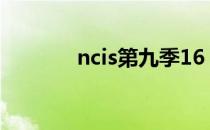 ncis第九季16（ncis第九季）