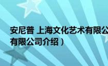 安尼普 上海文化艺术有限公司（关于安尼普 上海文化艺术有限公司介绍）