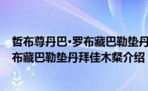 哲布尊丹巴·罗布藏巴勒垫丹拜佳木粲（关于哲布尊丹巴·罗布藏巴勒垫丹拜佳木粲介绍）