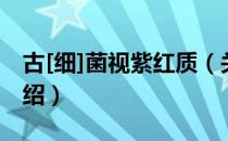 古[细]菌视紫红质（关于古[细]菌视紫红质介绍）