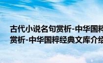 古代小说名句赏析-中华国粹经典文库（关于古代小说名句赏析-中华国粹经典文库介绍）