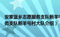 安家堡乡志愿服务支队新羊屯村大队（关于安家堡乡志愿服务支队新羊屯村大队介绍）