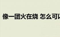 像一团火在烧 怎么可以忘掉歌词是什么意思