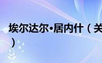 埃尔达尔·居内什（关于埃尔达尔·居内什简介）