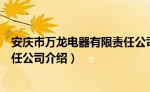 安庆市万龙电器有限责任公司（关于安庆市万龙电器有限责任公司介绍）