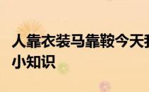 人靠衣装马靠鞍今天我们来了解一些马匹装备小知识