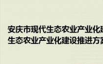 安庆市现代生态农业产业化建设推进方案（关于安庆市现代生态农业产业化建设推进方案介绍）