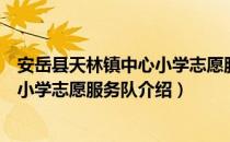 安岳县天林镇中心小学志愿服务队（关于安岳县天林镇中心小学志愿服务队介绍）