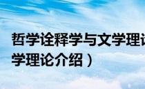 哲学诠释学与文学理论（关于哲学诠释学与文学理论介绍）