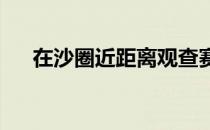 在沙圈近距离观查赛驹状态应该看什么