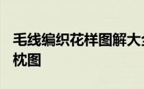 毛线编织花样图解大全 5000毛线编织圆形抱枕图