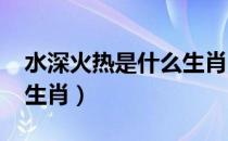 水深火热是什么生肖2022（水深火热是什么生肖）