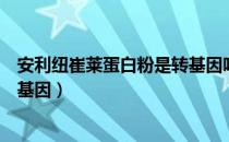 安利纽崔莱蛋白粉是转基因吗（安利纽崔莱蛋白粉被曝用转基因）