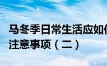 马冬季日常生活应如何保障一起看一下其他的注意事项（二）