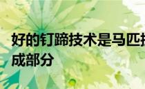 好的钉蹄技术是马匹护理中不可缺少的重要组成部分