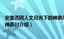 安室透同人文月光下的神奈川（关于安室透同人文月光下的神奈川介绍）