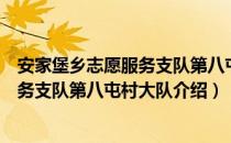 安家堡乡志愿服务支队第八屯村大队（关于安家堡乡志愿服务支队第八屯村大队介绍）