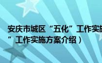 安庆市城区“五化”工作实施方案（关于安庆市城区“五化”工作实施方案介绍）