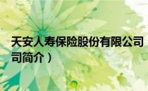 天安人寿保险股份有限公司（关于天安人寿保险股份有限公司简介）