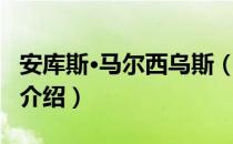 安库斯·马尔西乌斯（关于安库斯·马尔西乌斯介绍）