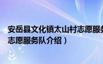 安岳县文化镇太山村志愿服务队（关于安岳县文化镇太山村志愿服务队介绍）