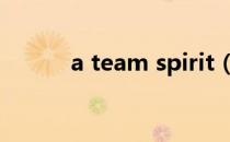 a team spirit（teamspeak2）