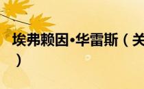 埃弗赖因·华雷斯（关于埃弗赖因·华雷斯简介）