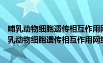 哺乳动物细胞遗传相互作用网络的高通量构建方法（关于哺乳动物细胞遗传相互作用网络的高通量构建方法介绍）