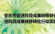 安庆市促进科技成果转移转化行动实施方案（关于安庆市促进科技成果转移转化行动实施方案介绍）