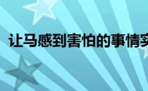 让马感到害怕的事情实在太多恐怕不下百种