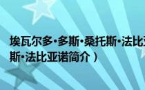 埃瓦尔多·多斯·桑托斯·法比亚诺（关于埃瓦尔多·多斯·桑托斯·法比亚诺简介）