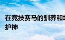 在竞技赛马的驯养和培育中马衣是不可缺的保护神