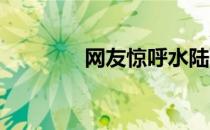 网友惊呼水陆两栖大神来了