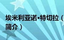 埃米利亚诺·特切拉（关于埃米利亚诺·特切拉简介）