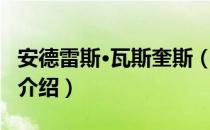 安德雷斯·瓦斯奎斯（关于安德雷斯·瓦斯奎斯介绍）