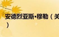 安德烈亚斯·穆勒（关于安德烈亚斯·穆勒介绍）