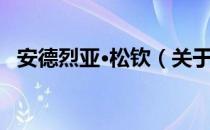 安德烈亚·松钦（关于安德烈亚·松钦介绍）