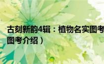 古刻新韵4辑：植物名实图考（关于古刻新韵4辑：植物名实图考介绍）