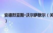 安德烈亚斯·沃尔萨默尔（关于安德烈亚斯·沃尔萨默尔介绍）