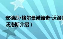 安德烈·格尔曼诺维奇·沃洛斯（关于安德烈·格尔曼诺维奇·沃洛斯介绍）