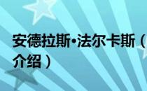 安德拉斯·法尔卡斯（关于安德拉斯·法尔卡斯介绍）