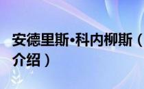 安德里斯·科内柳斯（关于安德里斯·科内柳斯介绍）