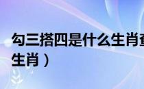 勾三搭四是什么生肖查一下（勾三搭四是什么生肖）