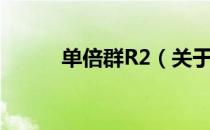 单倍群R2（关于单倍群R2简介）