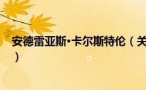 安德雷亚斯·卡尔斯特伦（关于安德雷亚斯·卡尔斯特伦介绍）