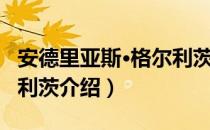 安德里亚斯·格尔利茨（关于安德里亚斯·格尔利茨介绍）